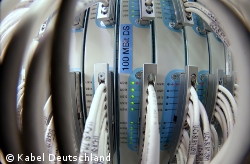 Kabel-Deutschland-Kunden in Dresden, Potsdam und Würzburg können ab sofort mit bis zu 100 MBit/s im Internet surfen